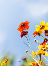 Similar image 7663185