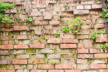 Similar image 7663203