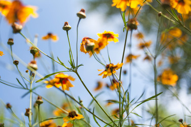 Similar image 7663204