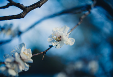 Similar image 7663253