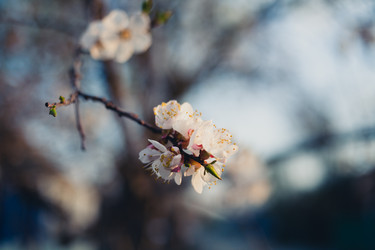 Similar image 7663254