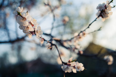 Similar image 7663255