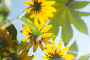 Similar image 7663262