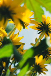 Similar image 7663263