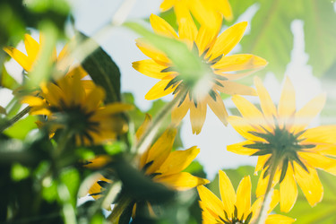 Similar image 7663265