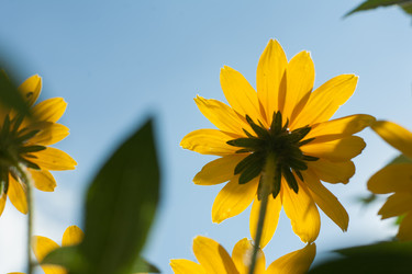 Similar image 7663268