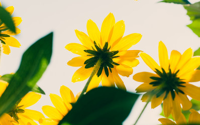 Similar image 7663269