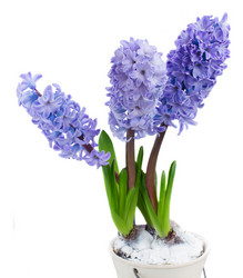 Similar image 7663366