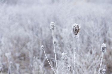 Similar image 7663400