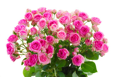 Similar image 7663424