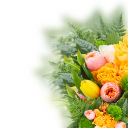 Similar image 7663461