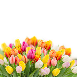 Similar image 7663462