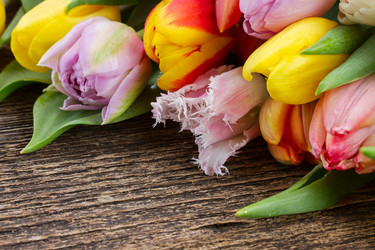 Similar image 7663475