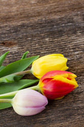 Similar image 7663477