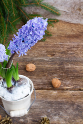 Similar image 7663479