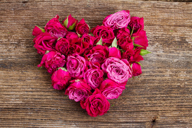 Similar image 7663485