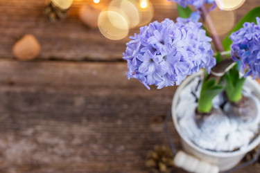 Similar image 7663487