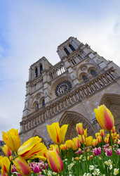 Similar image 7663501