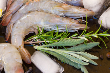 Similar image 7663503