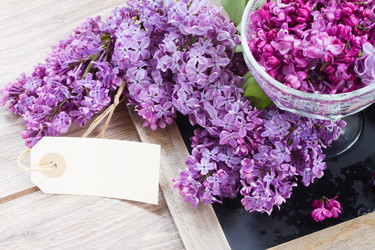 Similar image 7663508