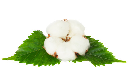 Similar image 7663518