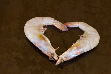 Similar image 7663519