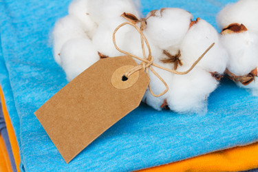 Similar image 7663522