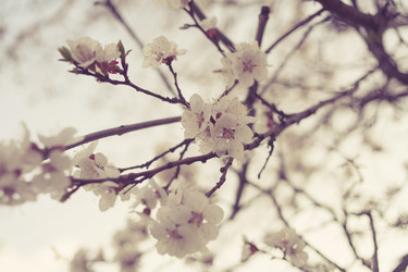 Similar image 7663524