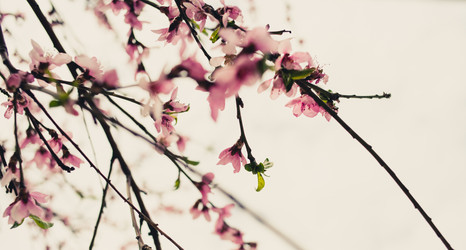 Similar image 7663527