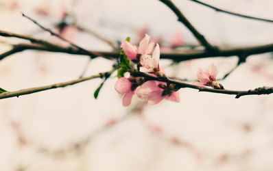 Similar image 7663528