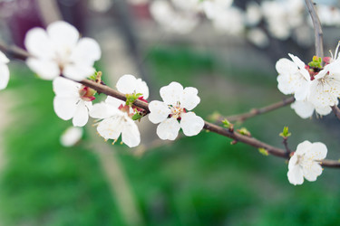 Similar image 7663529