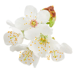 Similar image 7663544