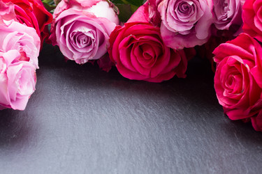 Similar image 7663545