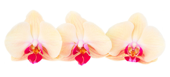 Similar image 7663557