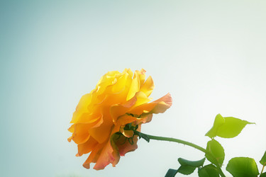 Similar image 7663559