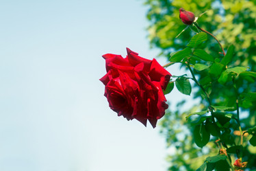 Similar image 7663561