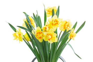 Similar image 7663578