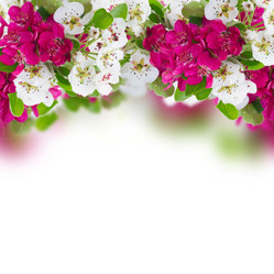 Similar image 7663596