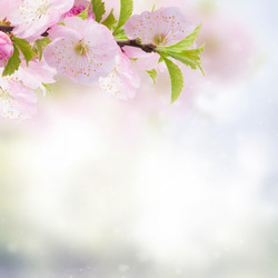 Similar image 7663605