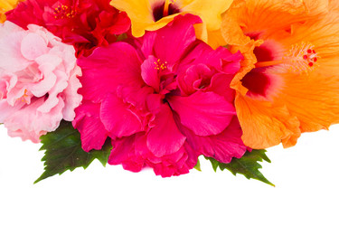 Similar image 7663609