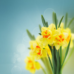 Similar image 7663614