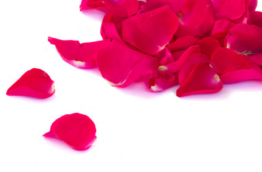 Similar image 7663616