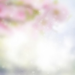 Similar image 7663621