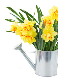 Similar image 7663625