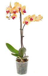 Similar image 7663634