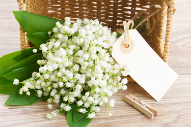 Similar image 7663650