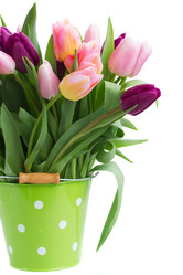 Similar image 7663652