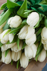 Similar image 7663661