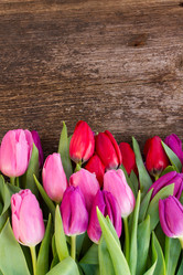 Similar image 7663785