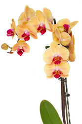 Similar image 7663788